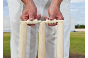 Cricket Stumps Guide