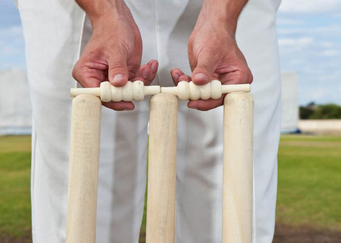 Cricket Stumps Guide Types, Height, Specs