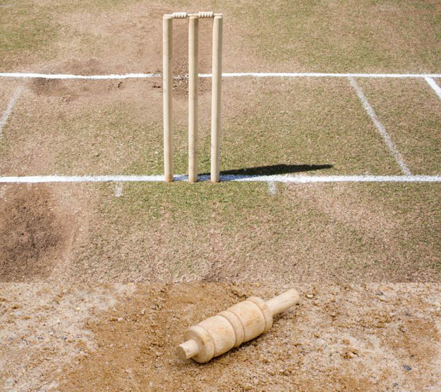 wooden cricket stumps