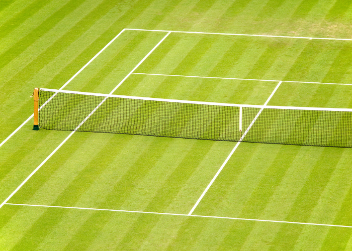 grass tennis court