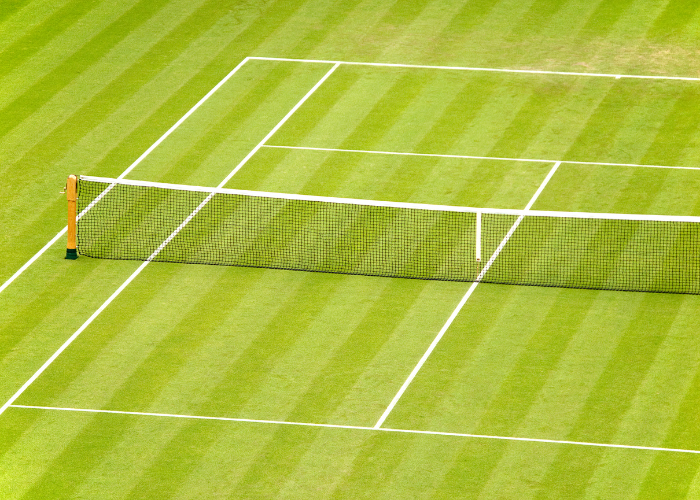 wimbledon grass court