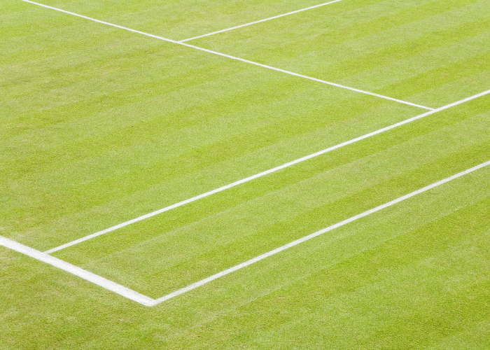 grass tennis court