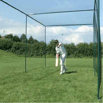 Cricket