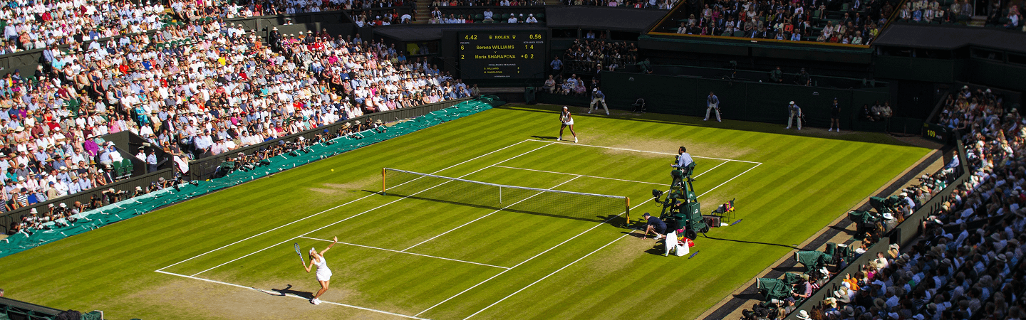 Tennis Nets