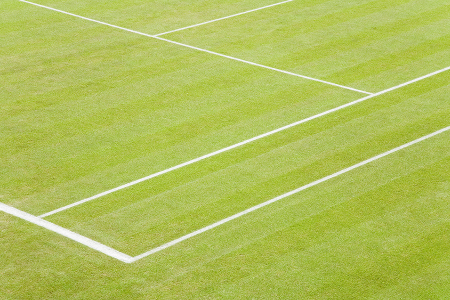 tennis grass court