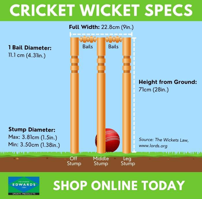 Cricket Stumps Guide Types, Height, Specs & Rules Edwards Sports